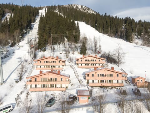 Belwobyn 14